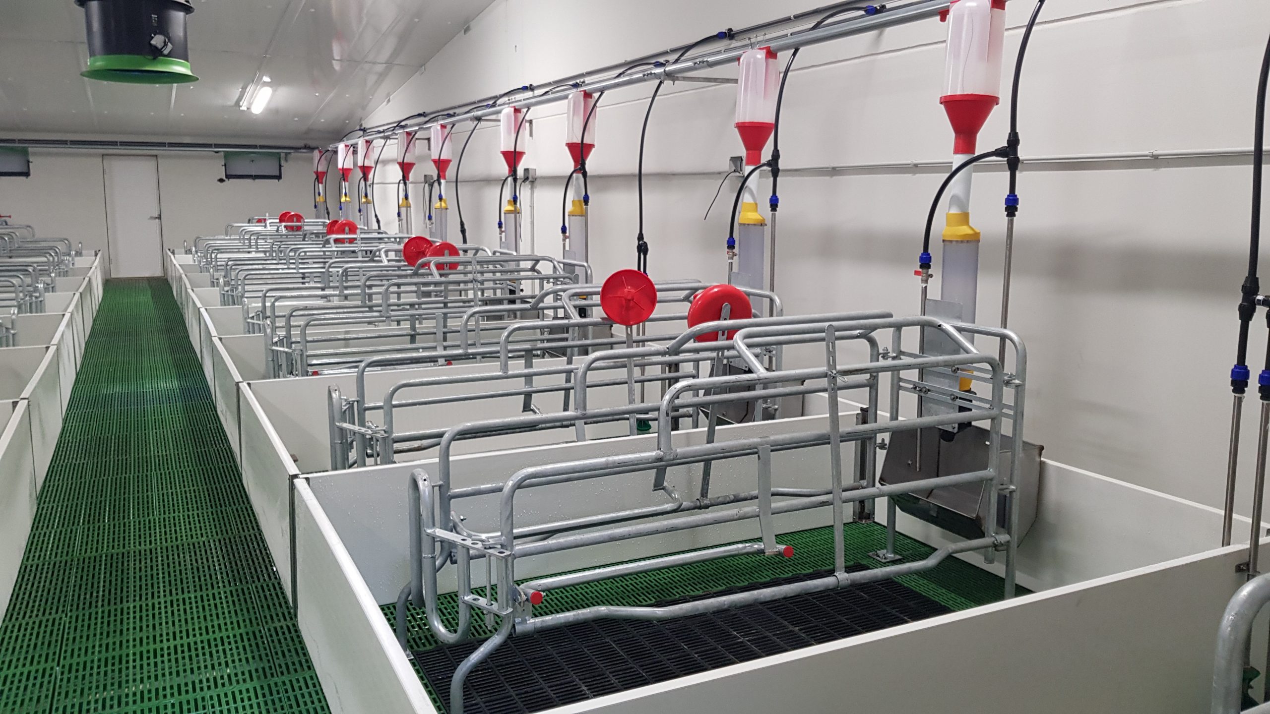 Parideras - Imagen 4