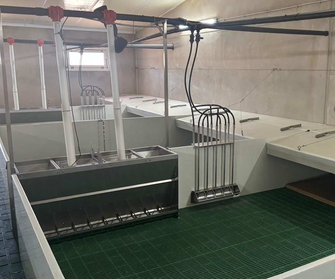 Naves de destete - Imagen 2